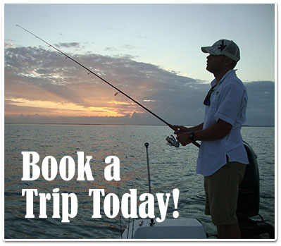 Book a Trip button